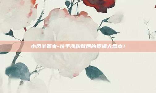 小风羊管家-快手涨粉背后的逻辑大盘点!