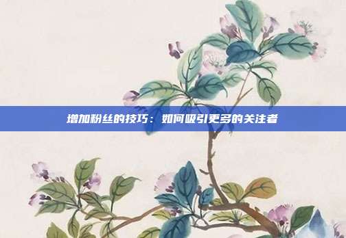 增加粉丝的技巧:如何吸引更多的关注者