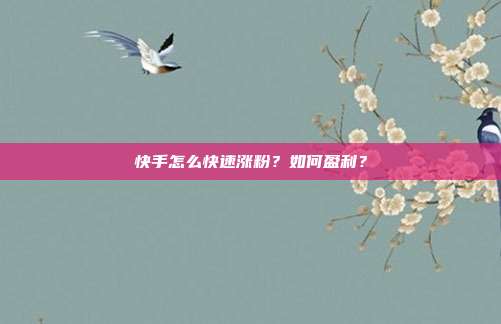 快手怎么快速涨粉?如何盈利?