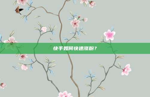 快手如何快速涨粉?