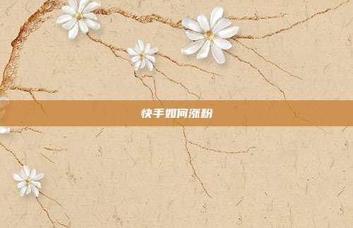 快手如何涨粉