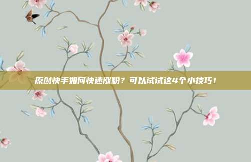 原创快手如何快速涨粉?可以试试这4个小技巧!