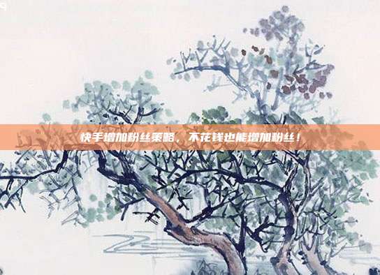 快手增加粉丝策略,不花钱也能增加粉丝!