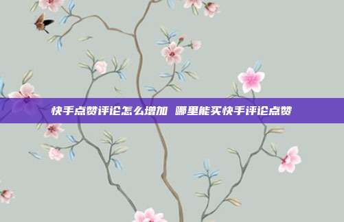 快手点赞评论怎么增加 哪里能买快手评论点赞
