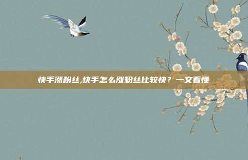 快手涨粉丝,快手怎么涨粉丝比较快?一文看懂