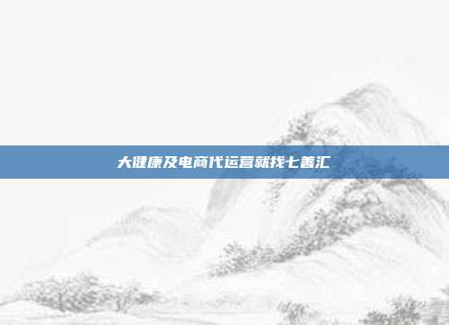 大健康及电商代运营就找七善汇