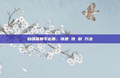 自媒体新手必看:快速 涨 粉 方法