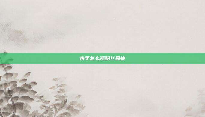 快手怎么涨粉丝最快