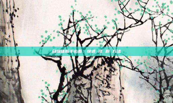 自媒体新手必看:快速 涨 粉 方法