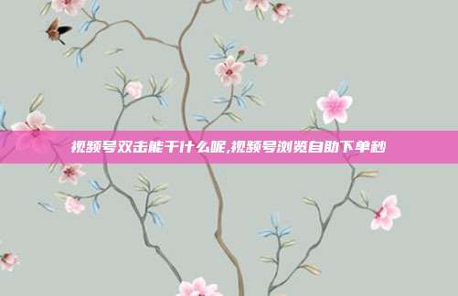 视频号双击能干什么呢,视频号浏览自助下单秒