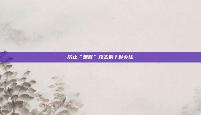 防止“黑客”攻击的十种办法