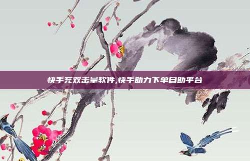 快手充双击量软件,快手助力下单自助平台