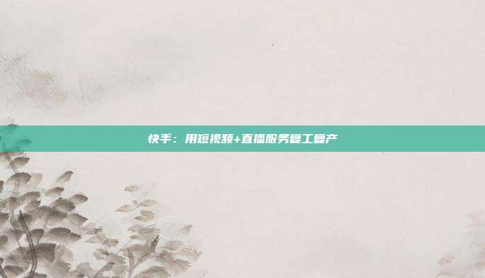 快手:用短视频+直播服务复工复产