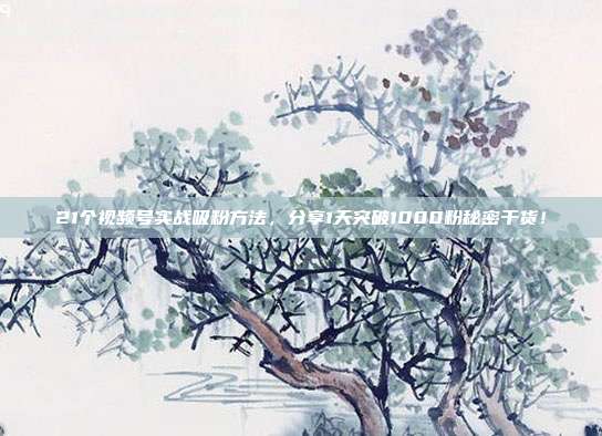 21个视频号实战吸粉方法,分享1天突破1000粉秘密干货!