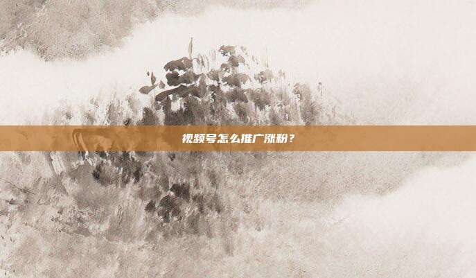 视频号怎么推广涨粉?
