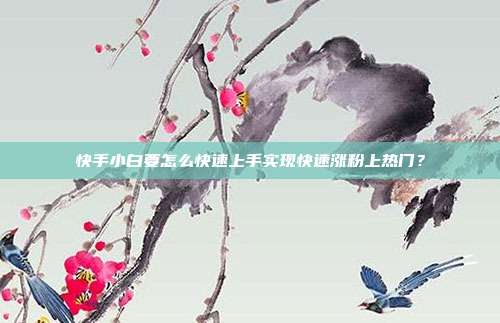 快手小白要怎么快速上手实现快速涨粉上热门?