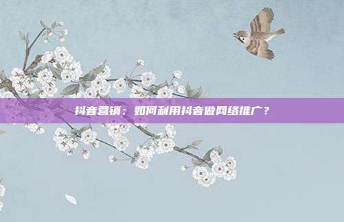 抖音营销：如何利用抖音做网络推广？