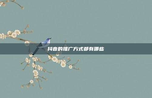 抖音的推广方式都有哪些