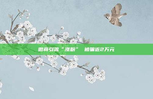 微商引流“涨粉” 被骗近2万元