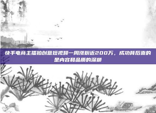 快手电商主播拍创意短视频一周涨粉近200万,成功背后靠的是内容和品质的深耕