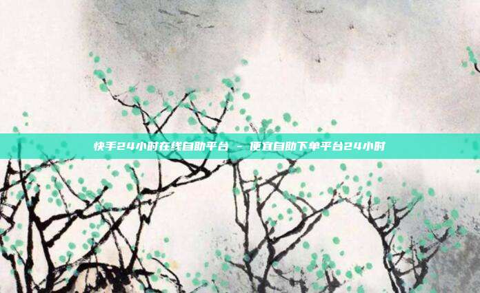 快手24小时在线自助平台 - 便宜自助下单平台24小时