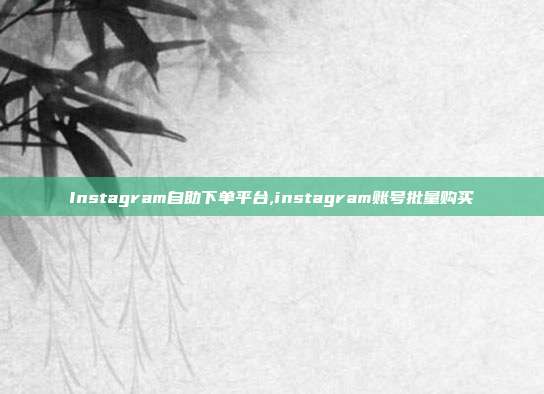 Instagram自助下单平台,instagram账号批量购买