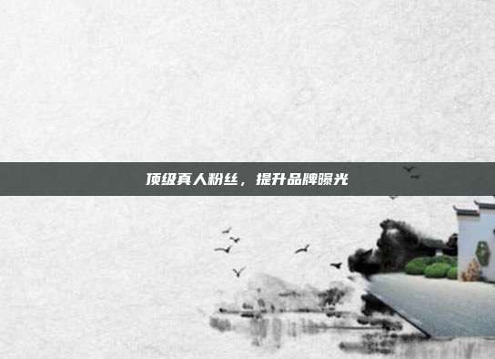 顶级真人粉丝,提升品牌曝光