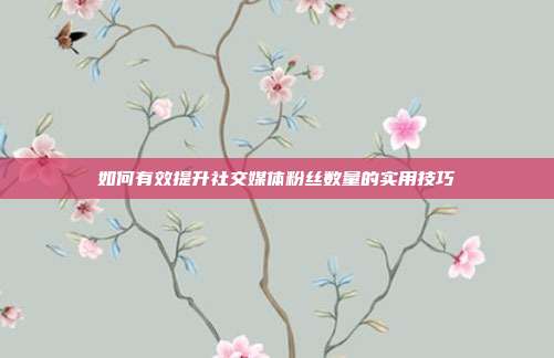 如何有效提升社交媒体粉丝数量的实用技巧