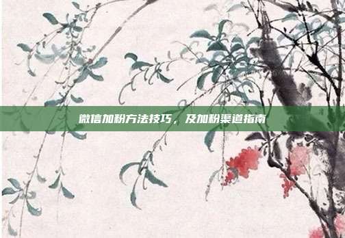 微信加粉方法技巧,及加粉渠道指南