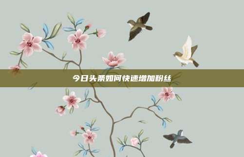 今日头条如何快速增加粉丝