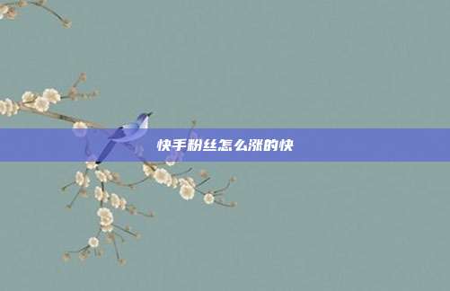 快手粉丝怎么涨的快