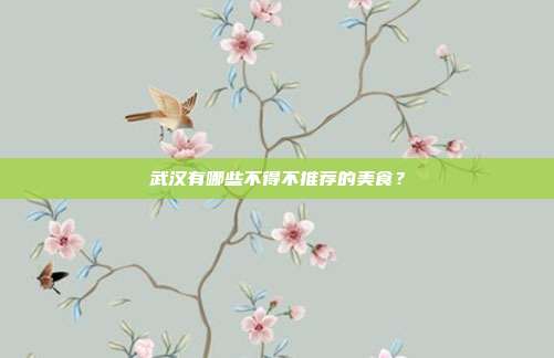 武汉有哪些不得不推荐的美食?