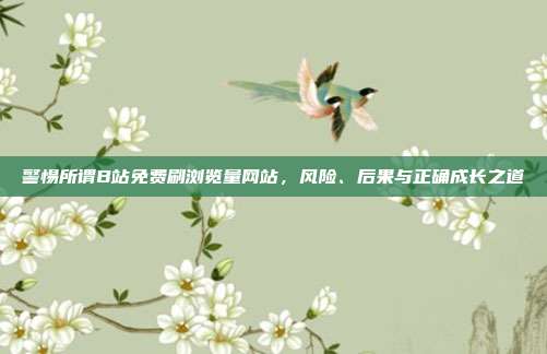 警惕所谓B站免费刷浏览量网站,风险、后果与正确成长之道
