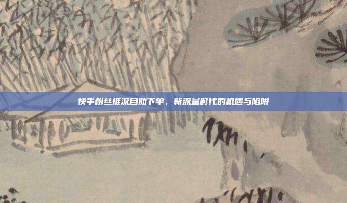 快手粉丝推流自助下单,新流量时代的机遇与陷阱