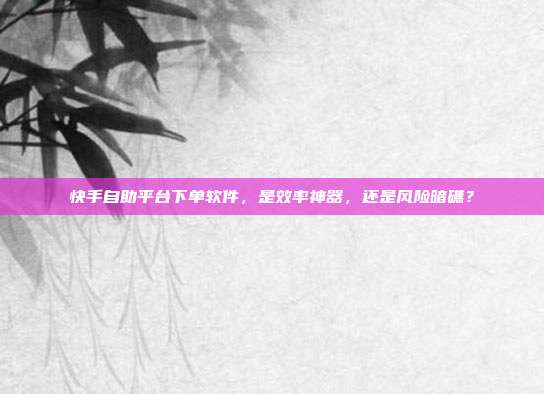 快手自助平台下单软件,是效率神器,还是风险暗礁?