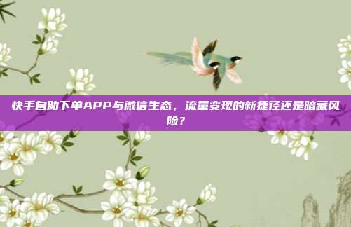 快手自助下单APP与微信生态，流量变现的新捷径还是暗藏风险？