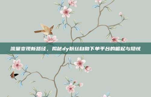 流量变现新路径,揭秘dy粉丝自助下单平台的崛起与隐忧