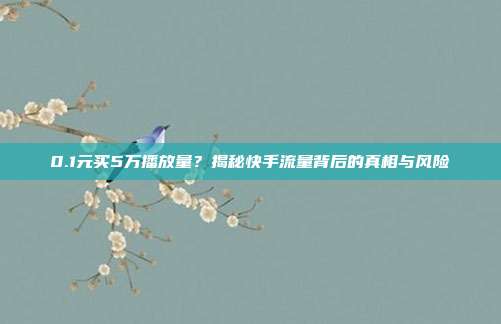 0.1元买5万播放量？揭秘快手流量背后的真相与风险