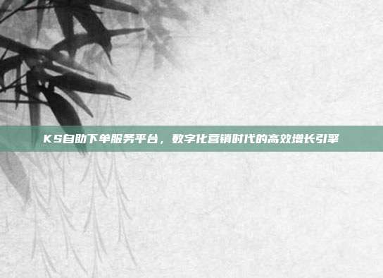 KS自助下单服务平台，数字化营销时代的高效增长引擎