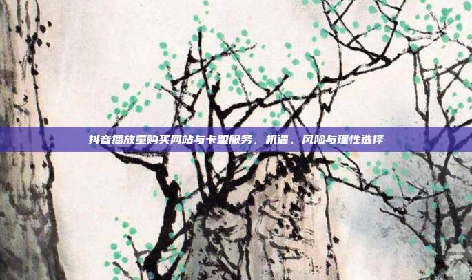 抖音播放量购买网站与卡盟服务,机遇、风险与理性选择