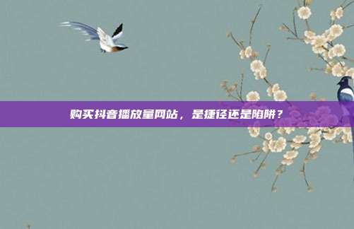 购买抖音播放量网站，是捷径还是陷阱？