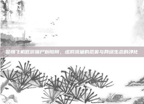 警惕飞机低价僵尸粉陷阱，虚假流量的危害与网络生态的净化