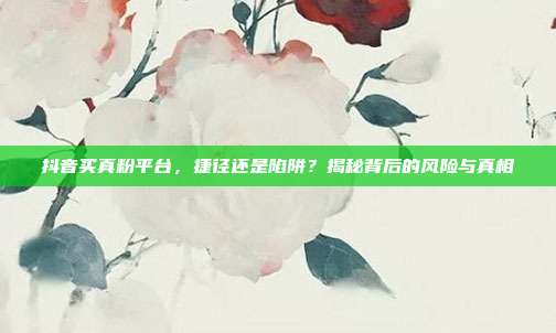 抖音买真粉平台，捷径还是陷阱？揭秘背后的风险与真相
