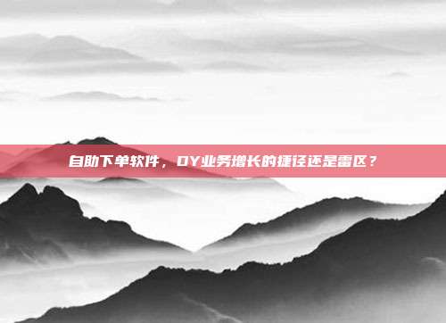 自助下单软件，DY业务增长的捷径还是雷区？