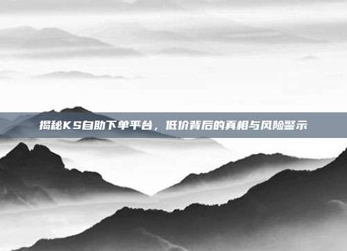 揭秘KS自助下单平台,低价背后的真相与风险警示