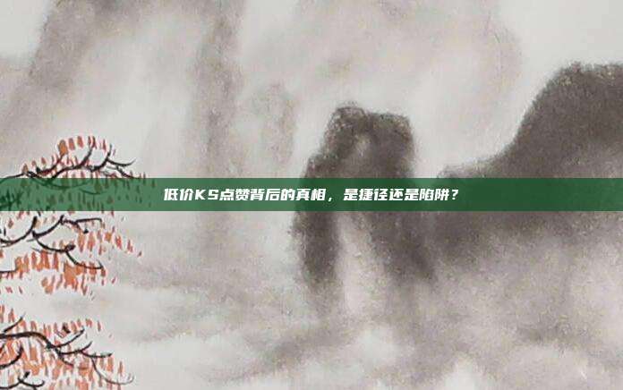 低价KS点赞背后的真相,是捷径还是陷阱?