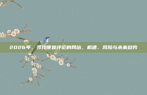 2026年，寻找便宜评论的网站，机遇、风险与未来趋势