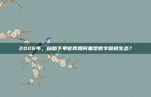 2026年，自助下单官网如何重塑数字营销生态？