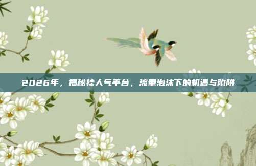 2026年，揭秘挂人气平台，流量泡沫下的机遇与陷阱