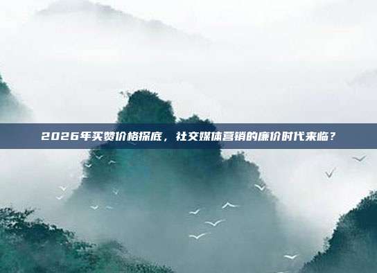 2026年买赞价格探底,社交媒体营销的廉价时代来临?